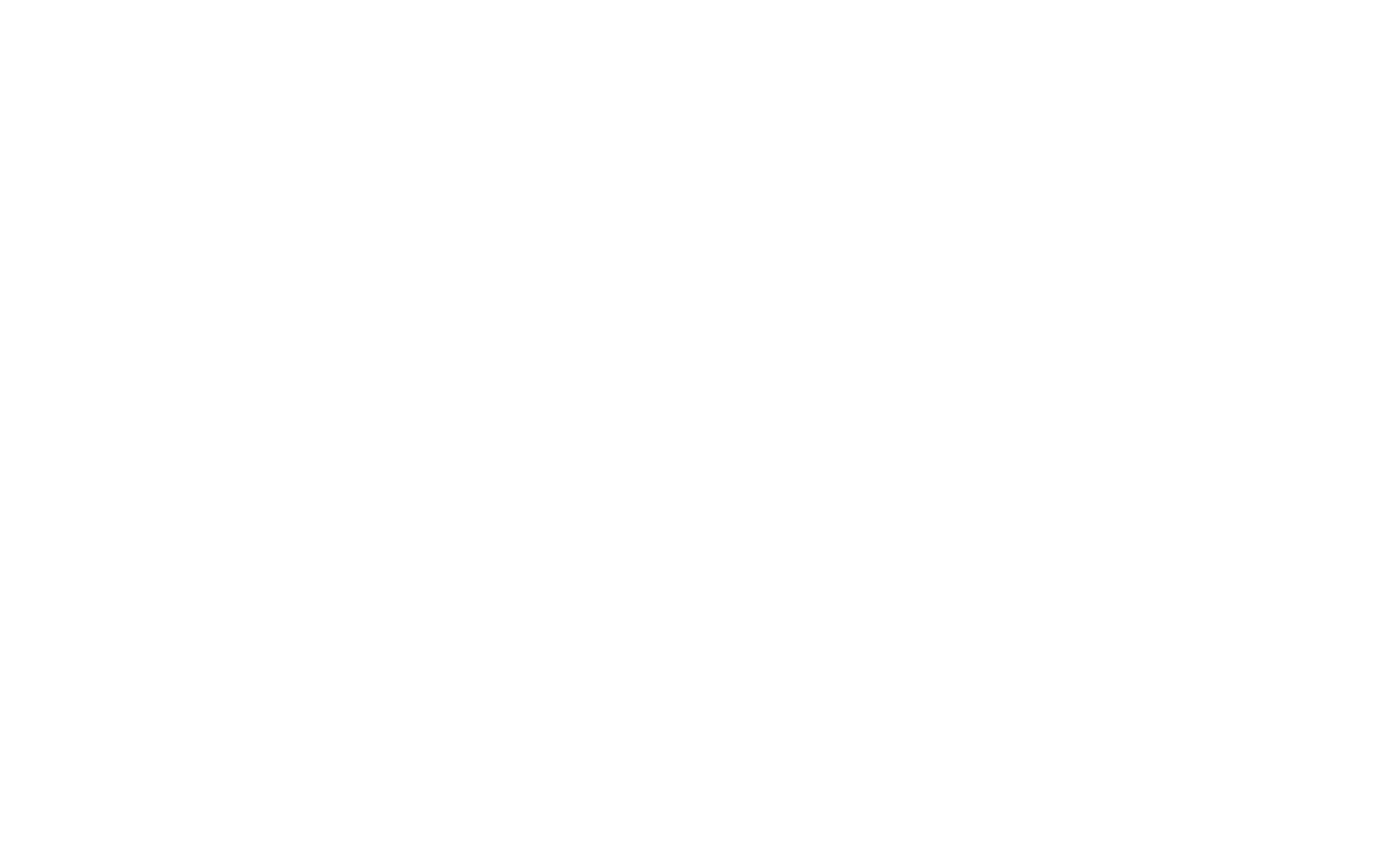 Magnuson Capital Logo